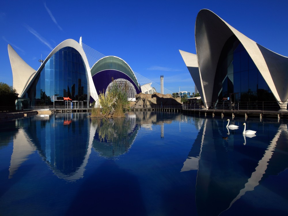 Valencia Oceanografic