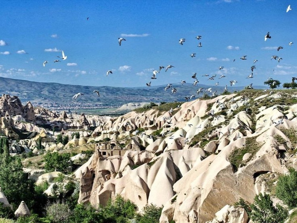 Pigeon Valley