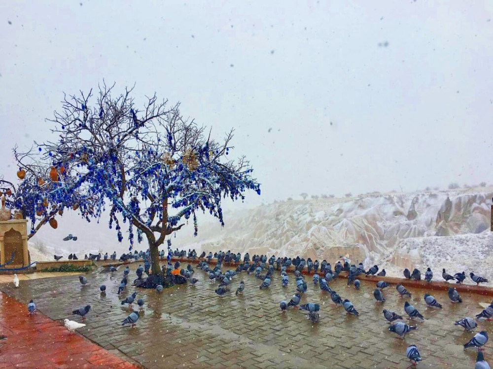 Pigeon Valley