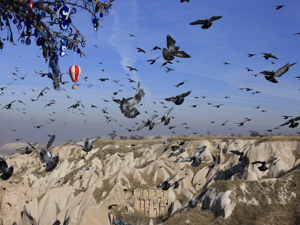 Pigeon Valley