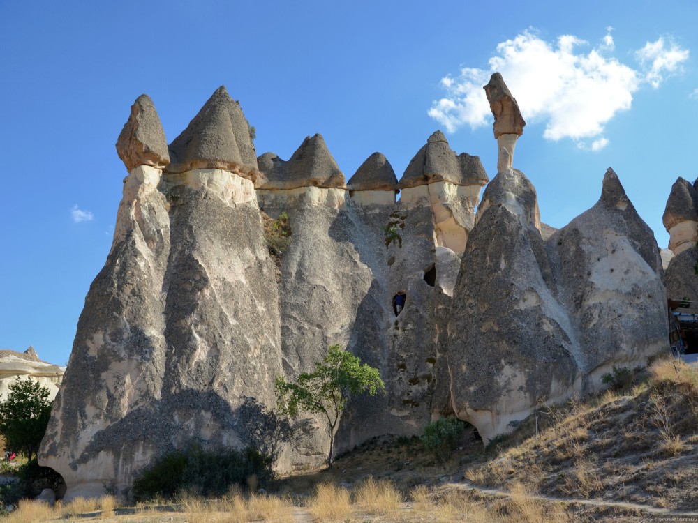 Monks Valley