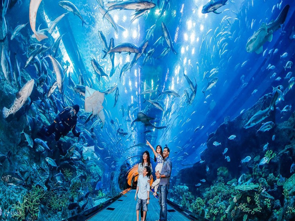 Fakieh Aquarium