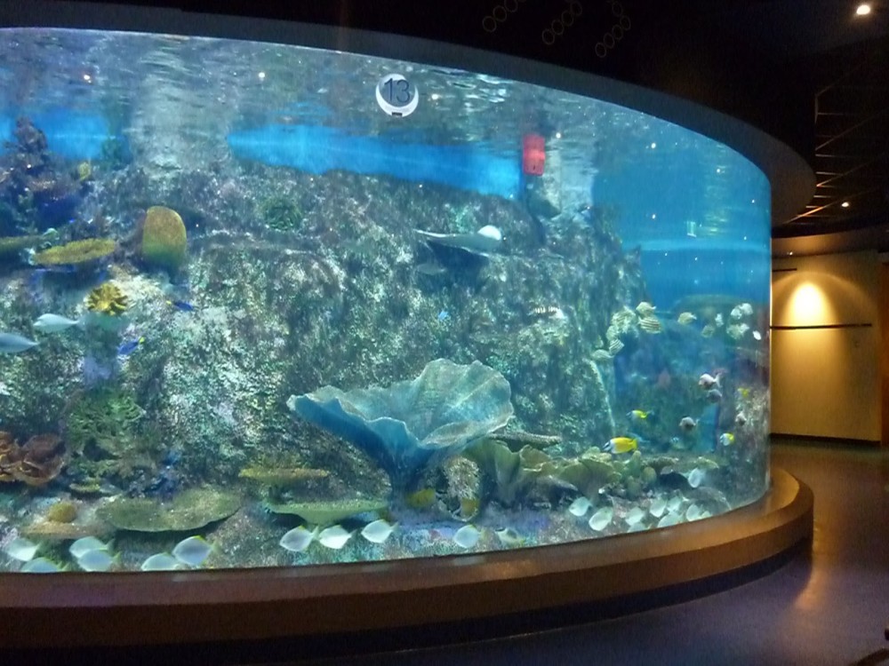Fakieh Aquarium