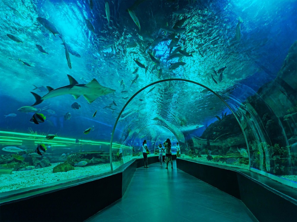 Fakieh Aquarium