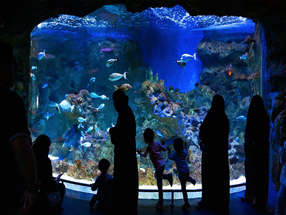 Fakieh Aquarium