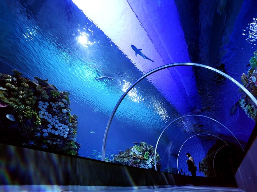 Fakieh Aquarium