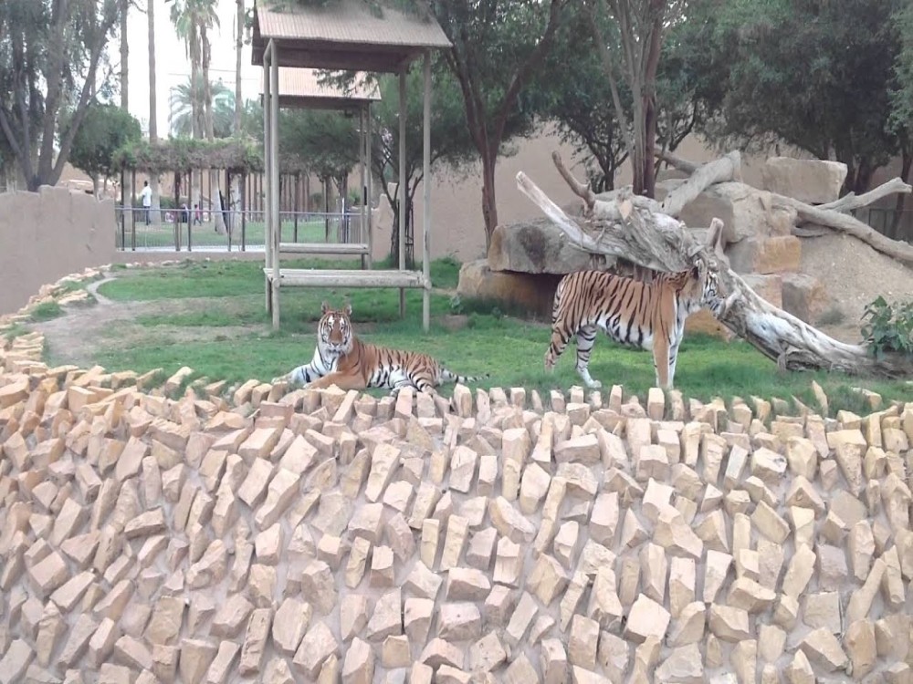 Riyadh Zoo