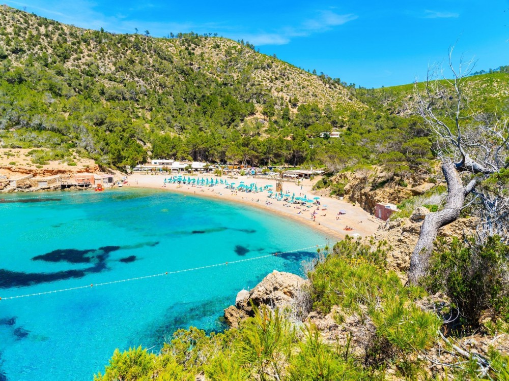 Es Vedranell and Western Inlets