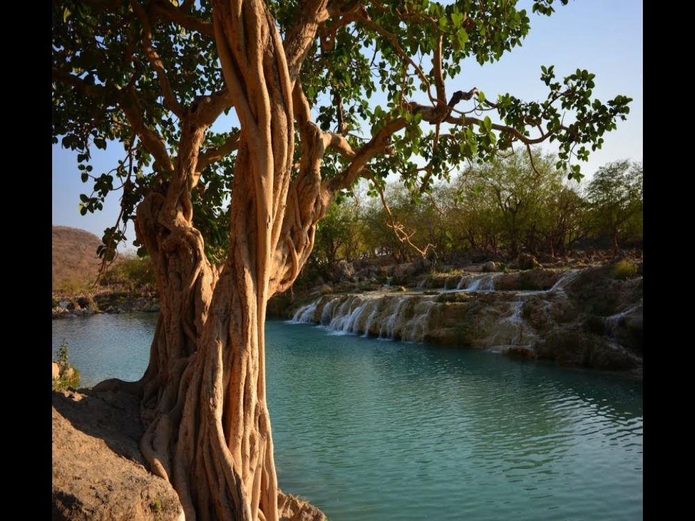 Wadi Darbat