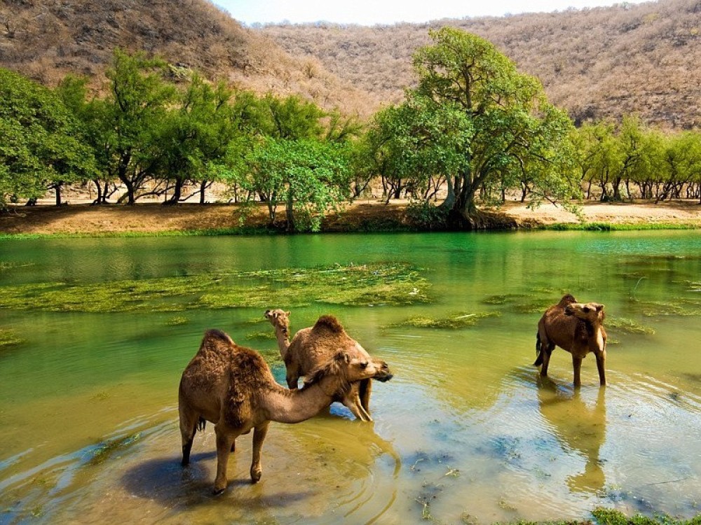 Wadi Darbat