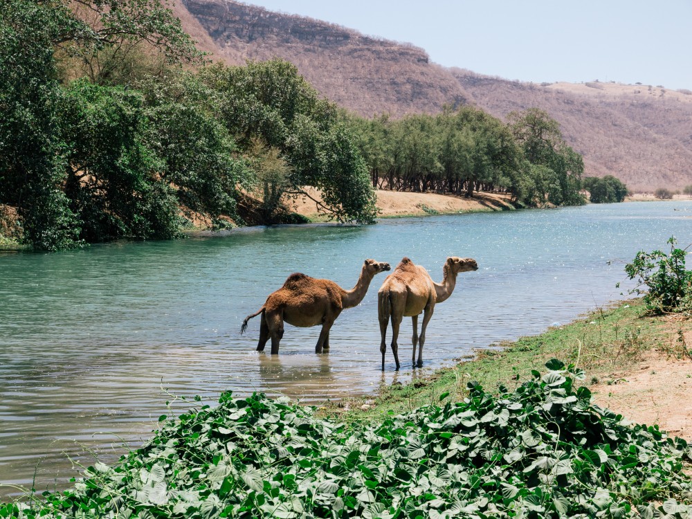 Wadi Darbat