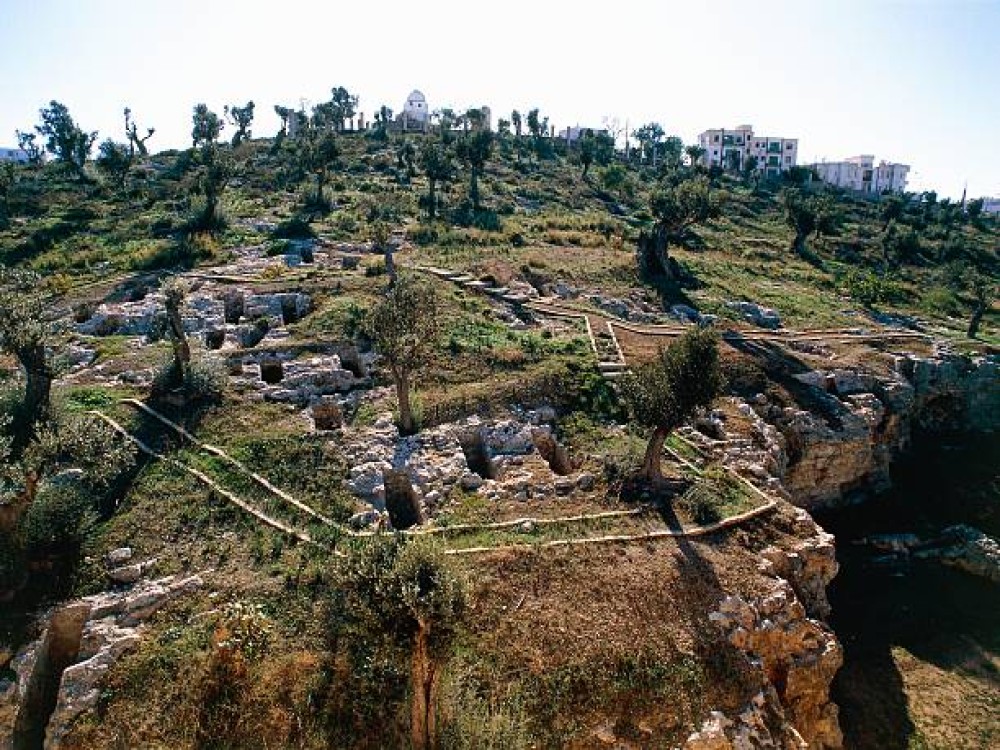 Necropolis of Puig des Molins (Necròpolis del Puig des Molins) 