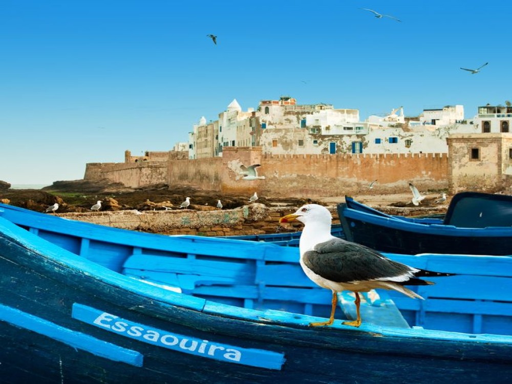 Essaouira Full-Day Excursion from Marrakech