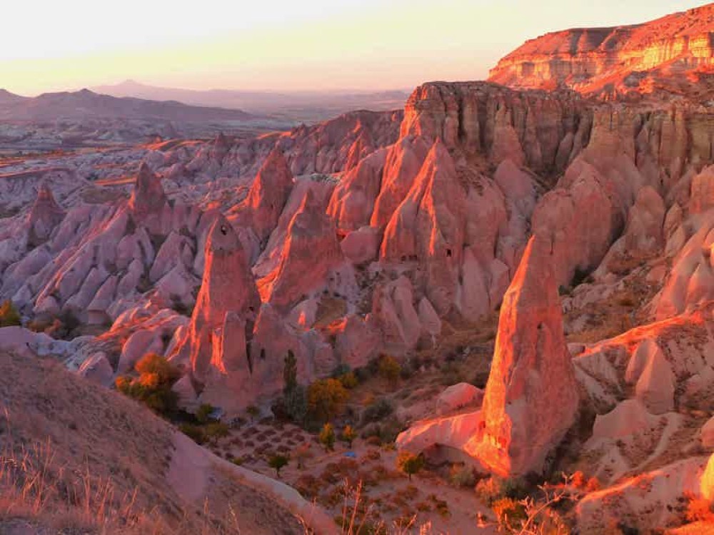 Rose Valley 