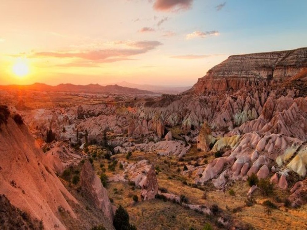 Rose Valley 