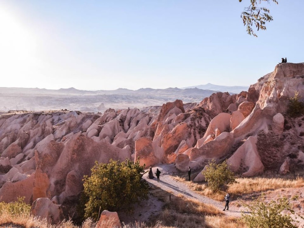 Rose Valley 