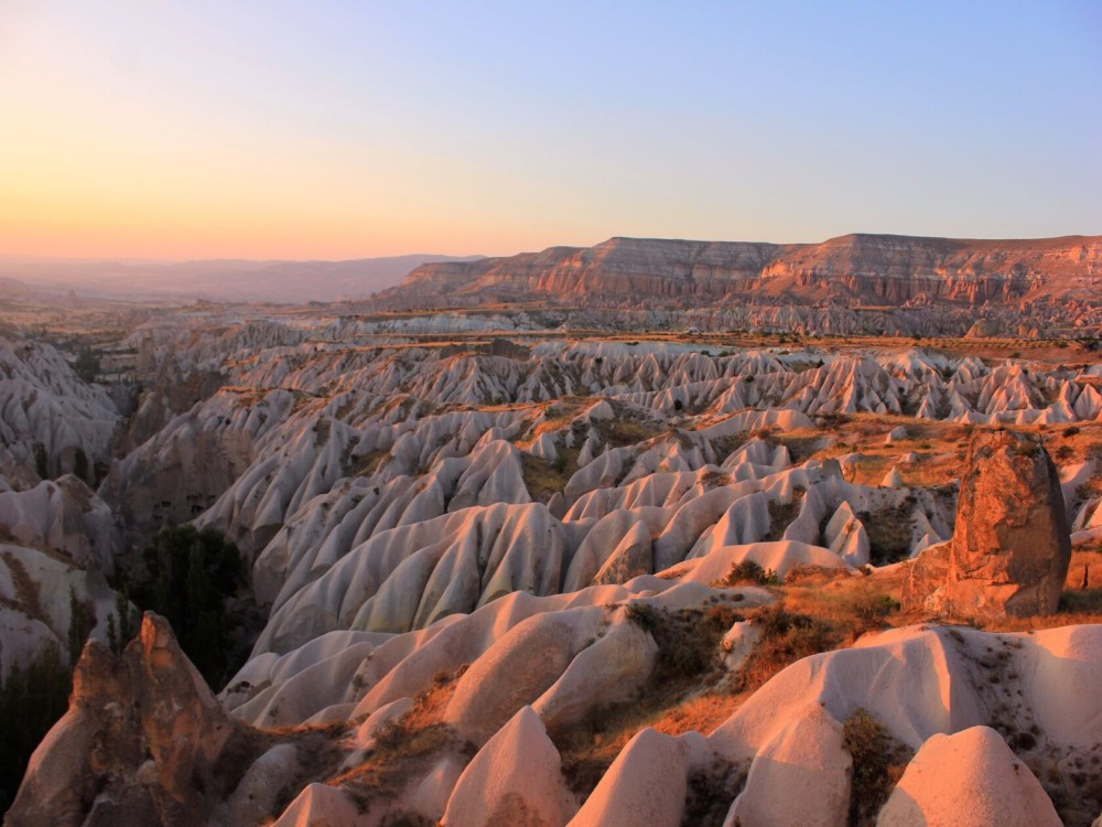Rose Valley 