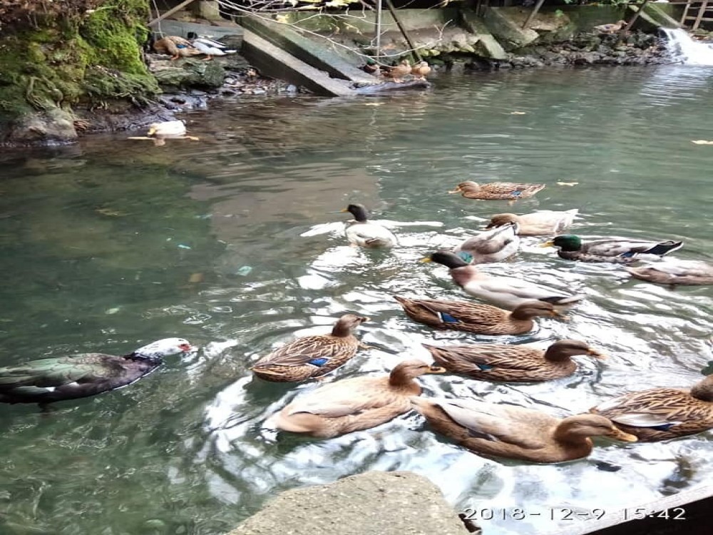 Ulupinar Fishing And Picnic