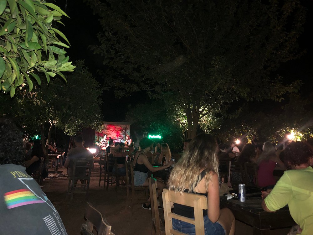 Cafe Cactus