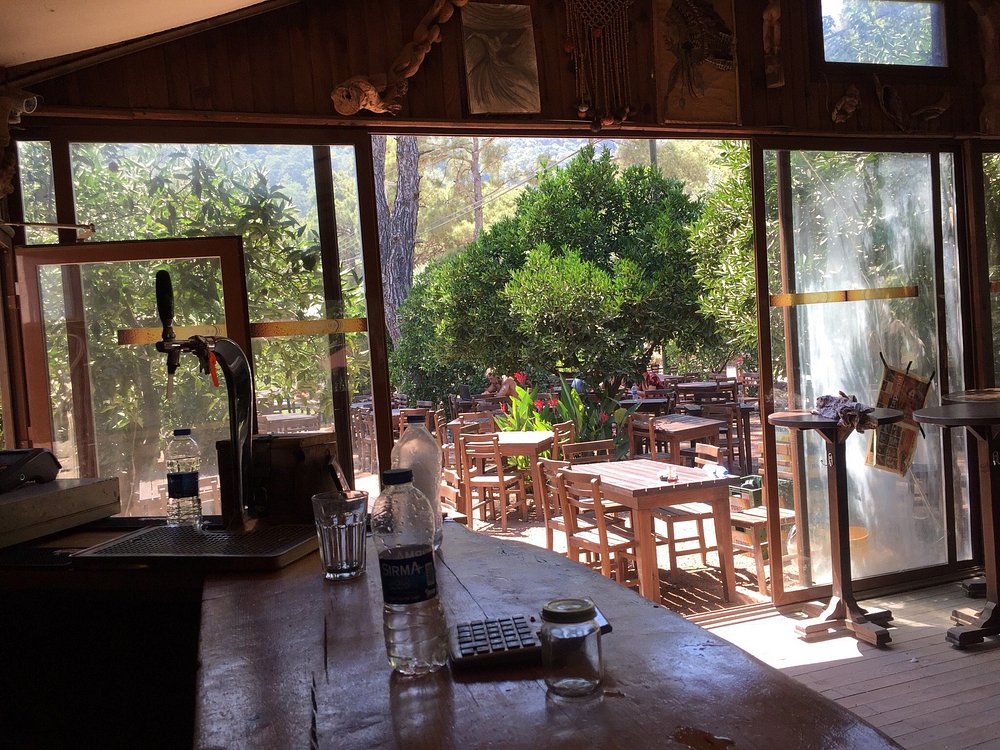 Cafe Cactus