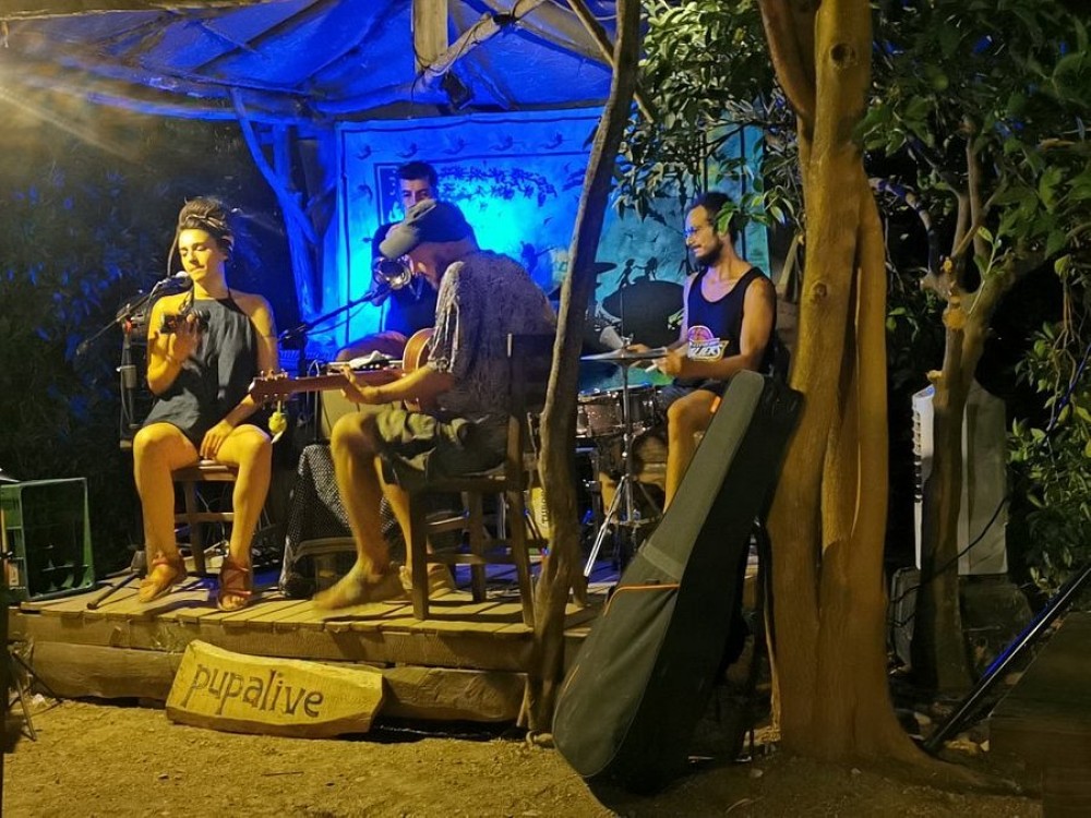 Cafe Cactus
