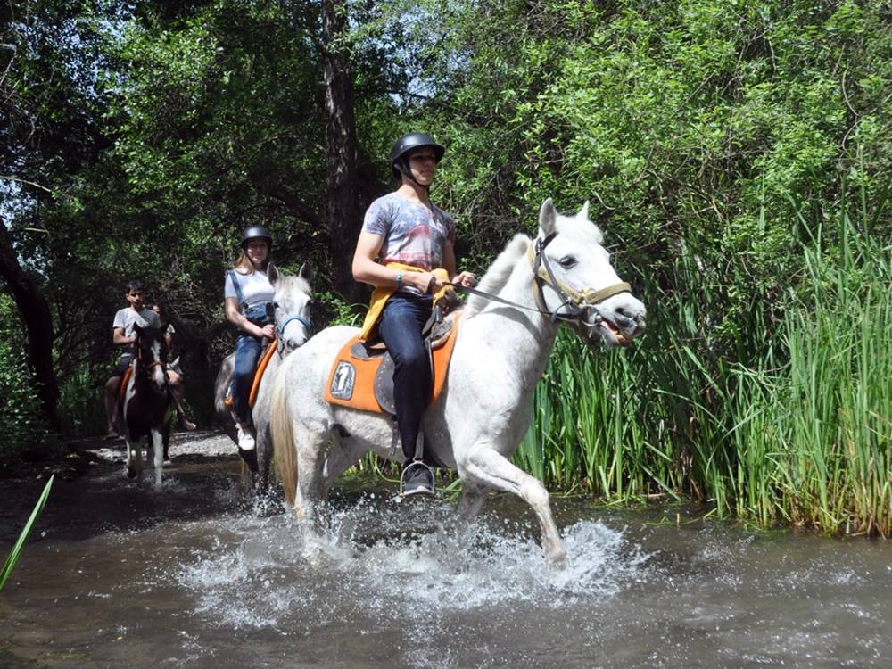 Icmeler Horse Riding
