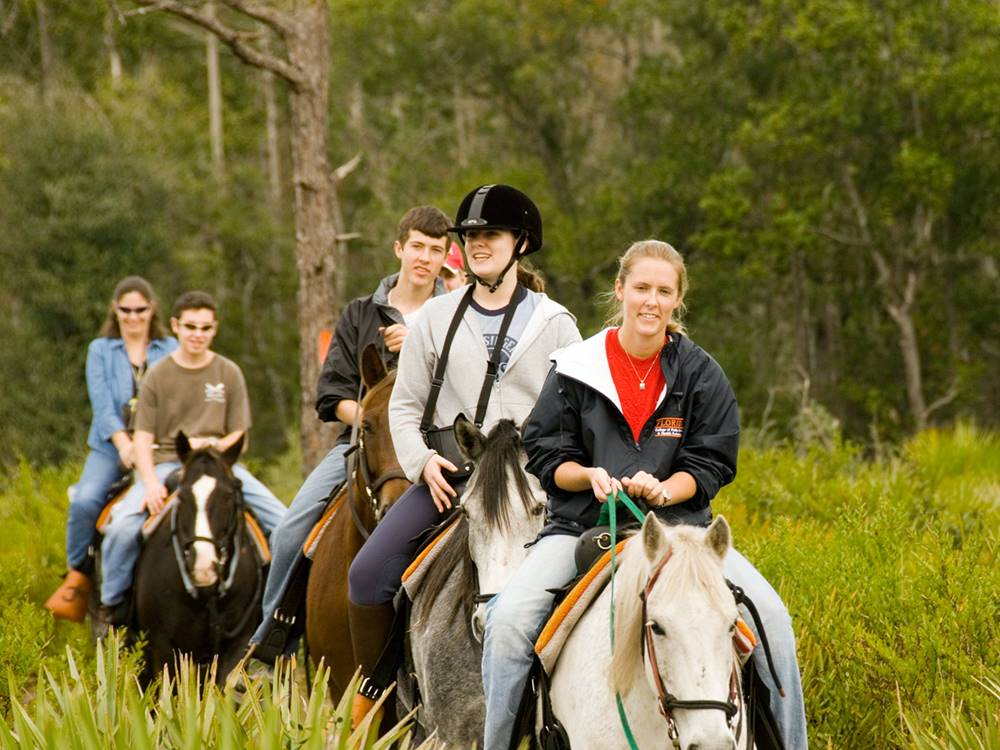 Icmeler Horse Riding