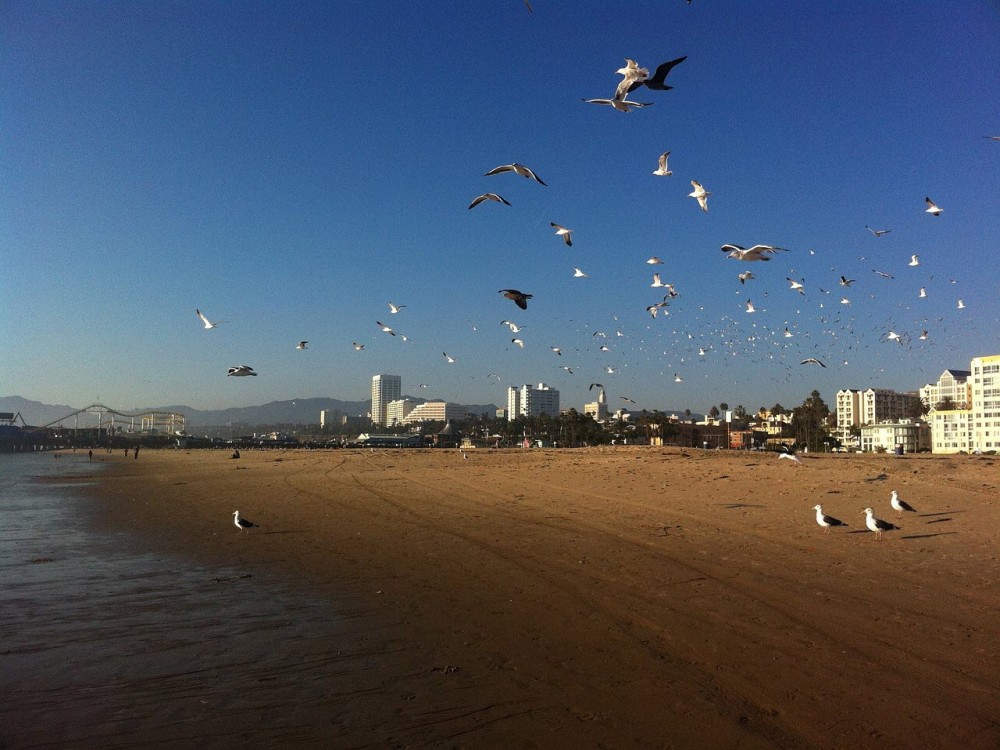 Praia de Santa Monica