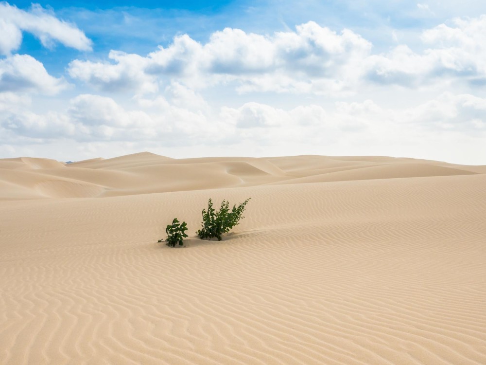 Deserto de Viana