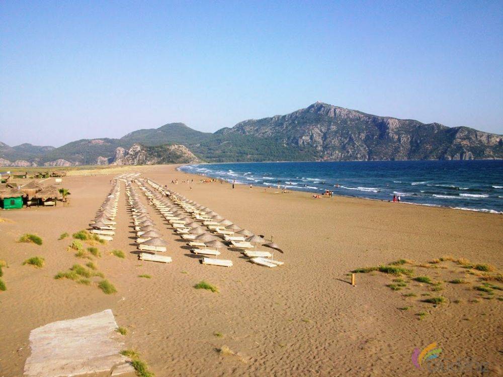 Bodrum Turtle Beach