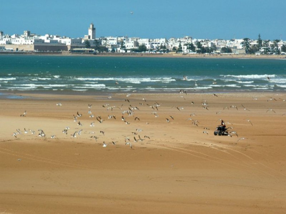 Essaouira Beach