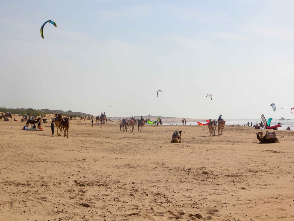 Essaouira Beach