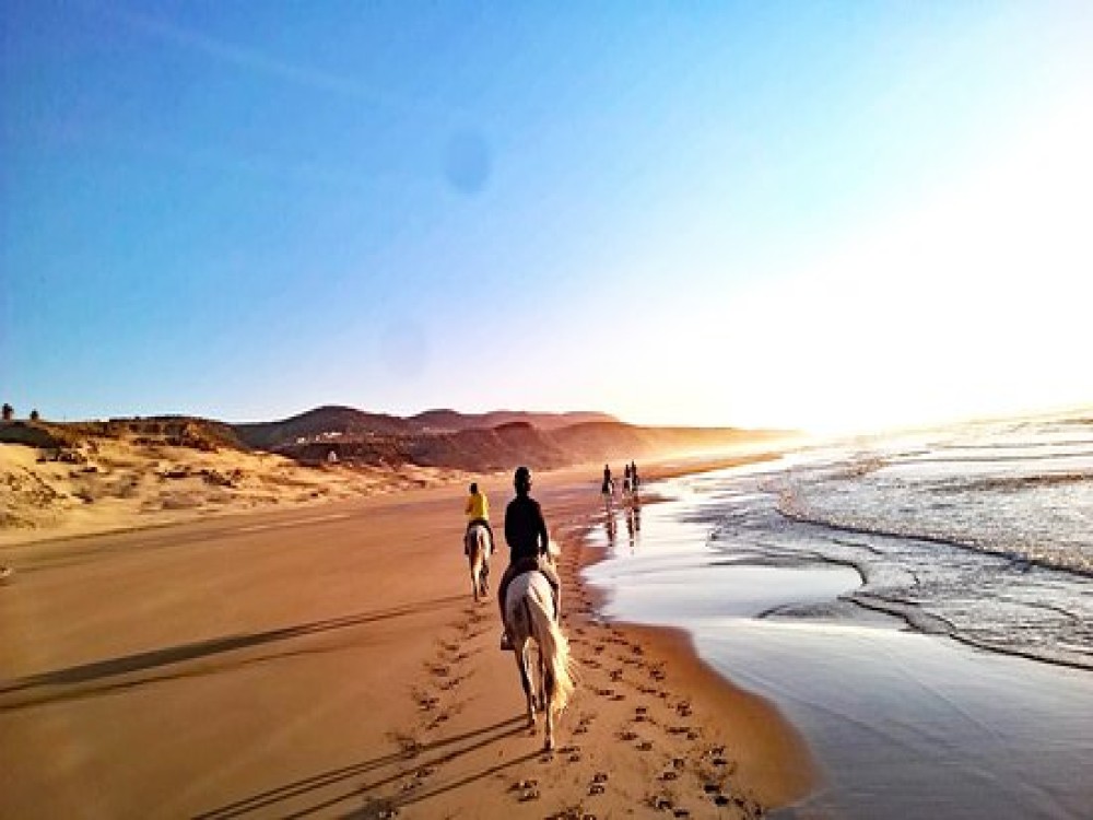 Cheval Essaouira