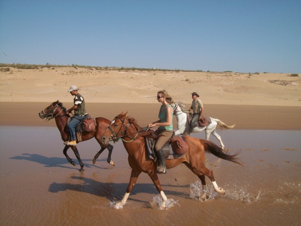 Cheval Essaouira