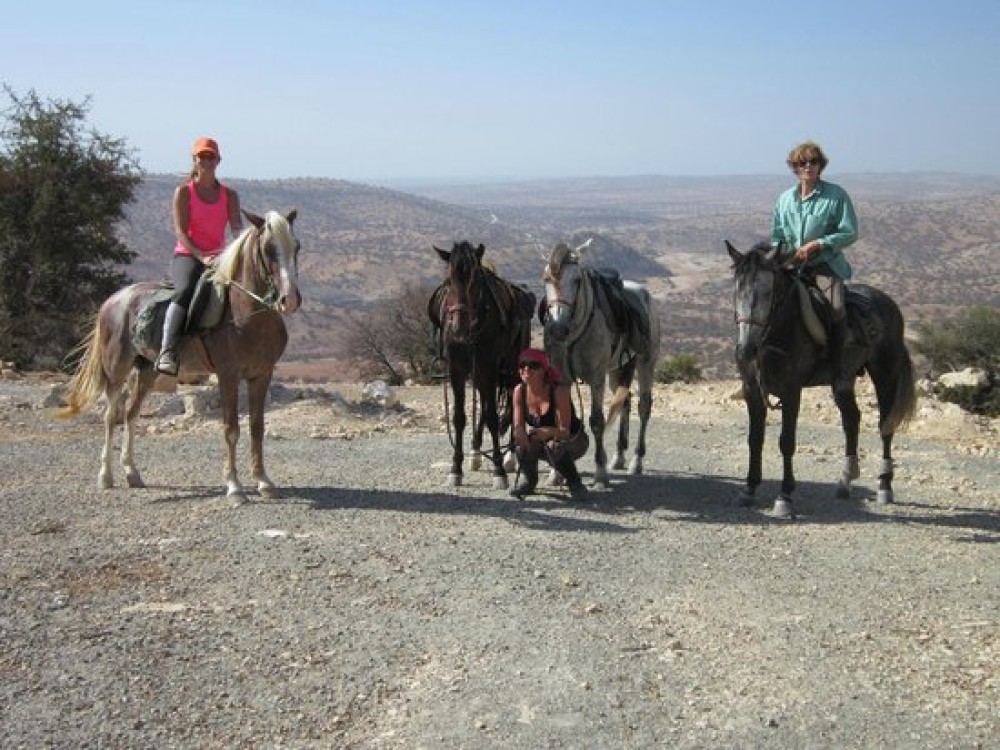 Cheval Essaouira
