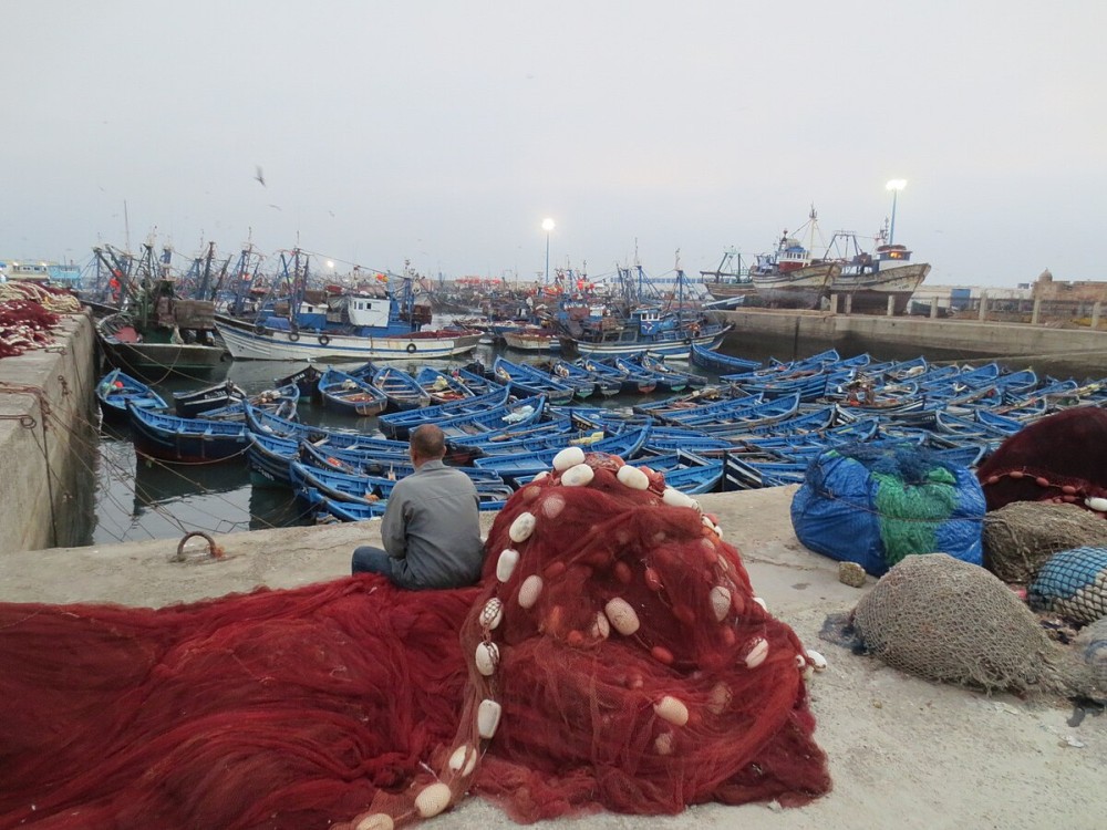 Essaouira Fishing Port