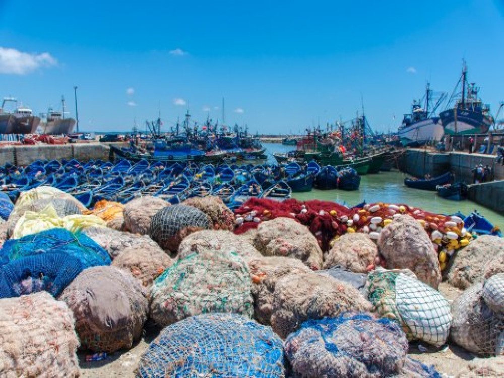 Essaouira Fishing Port