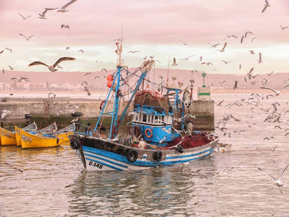 Essaouira Fishing Port