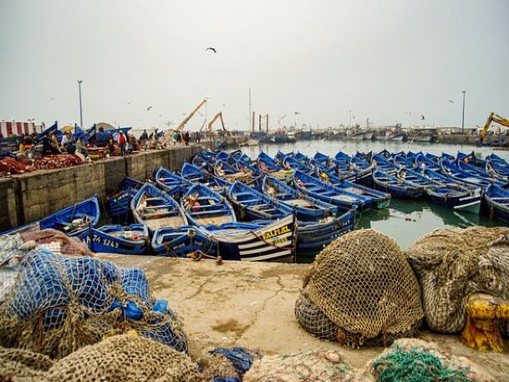 Essaouira Fishing Port