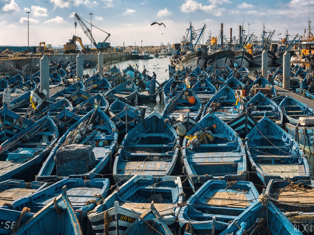 Essaouira Fishing Port
