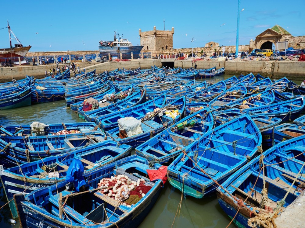 Essaouira Fishing Port
