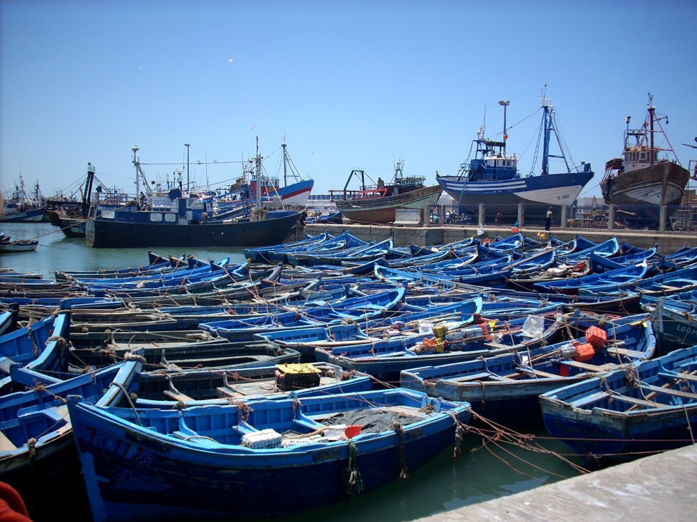 Essaouira Fishing Port