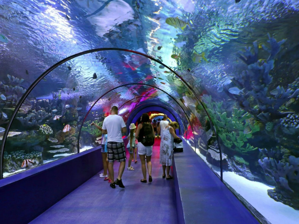 Fakieh Aquarium