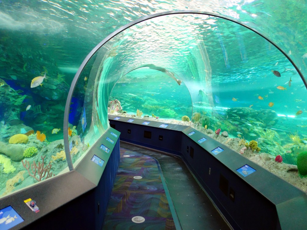 Fakieh Aquarium