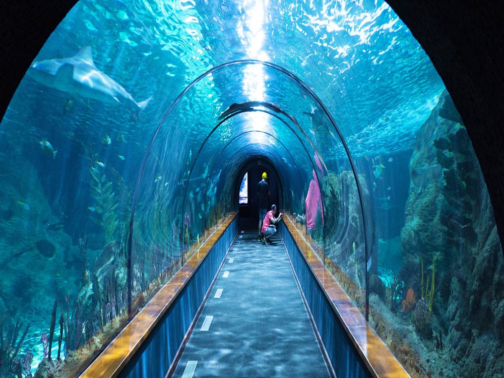 Fakieh Aquarium