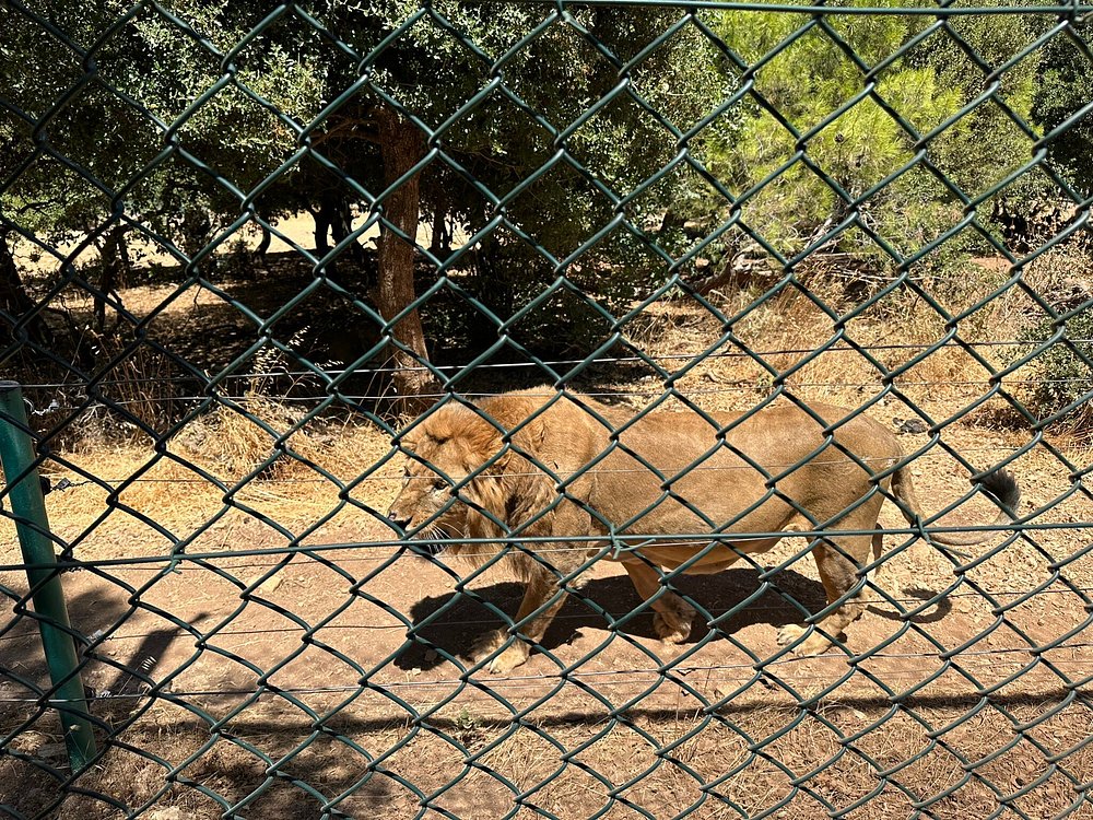 Al Ma'wa for Nature and Wildlife