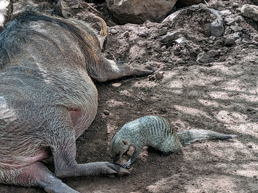 CARACAL Biodiversity Center