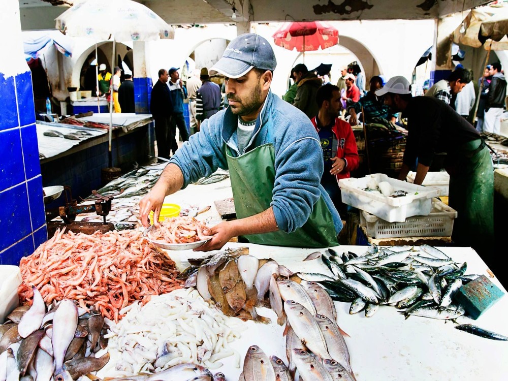 Fish Market