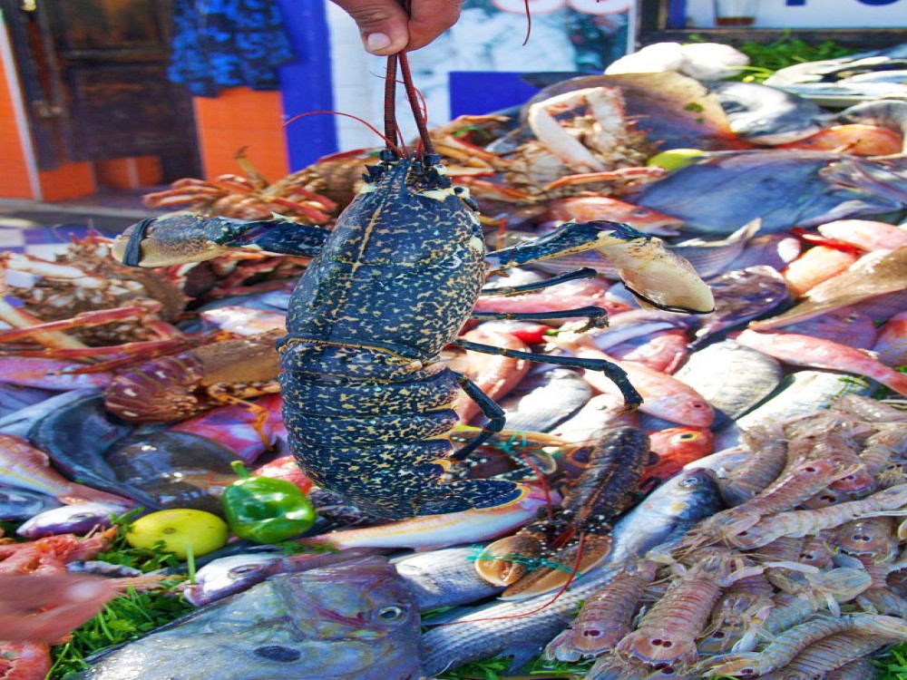 Fish Market