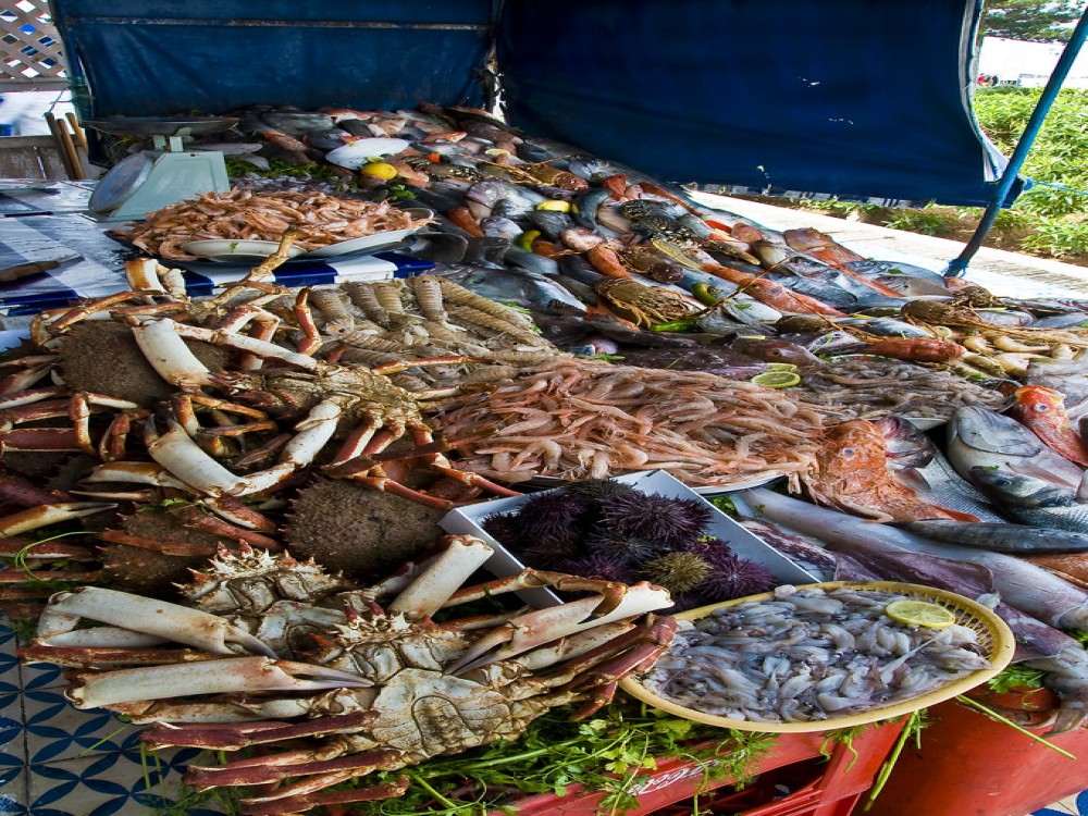 Fish Market